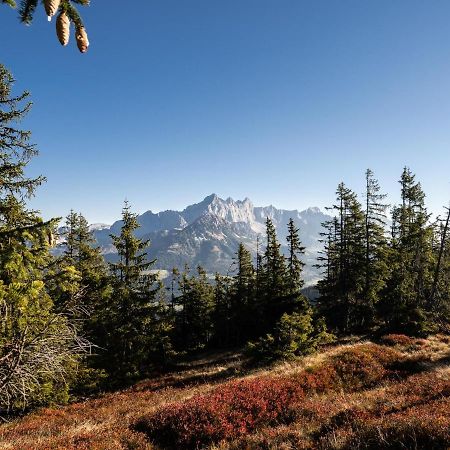 Schattbergblick Зальбах-Хинтерглемм Экстерьер фото
