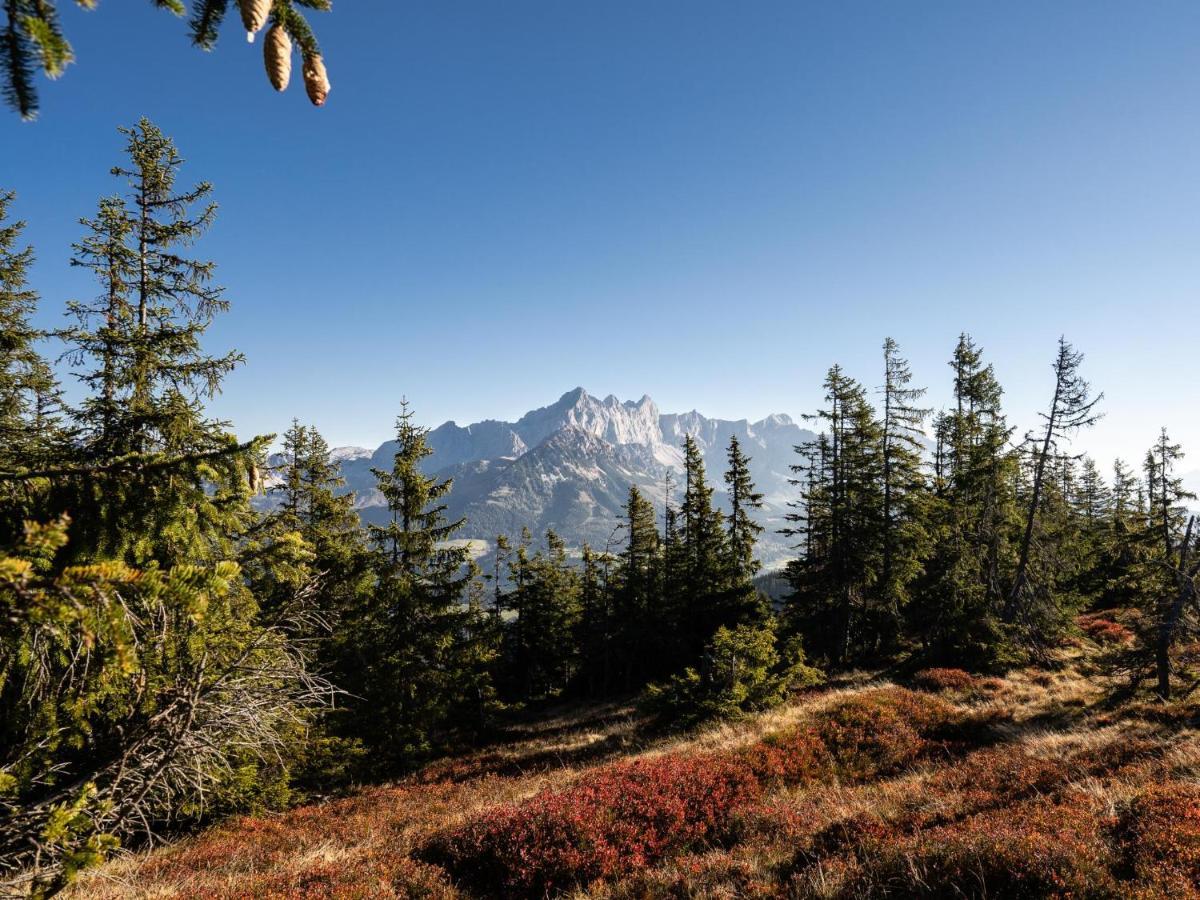 Schattbergblick Зальбах-Хинтерглемм Экстерьер фото